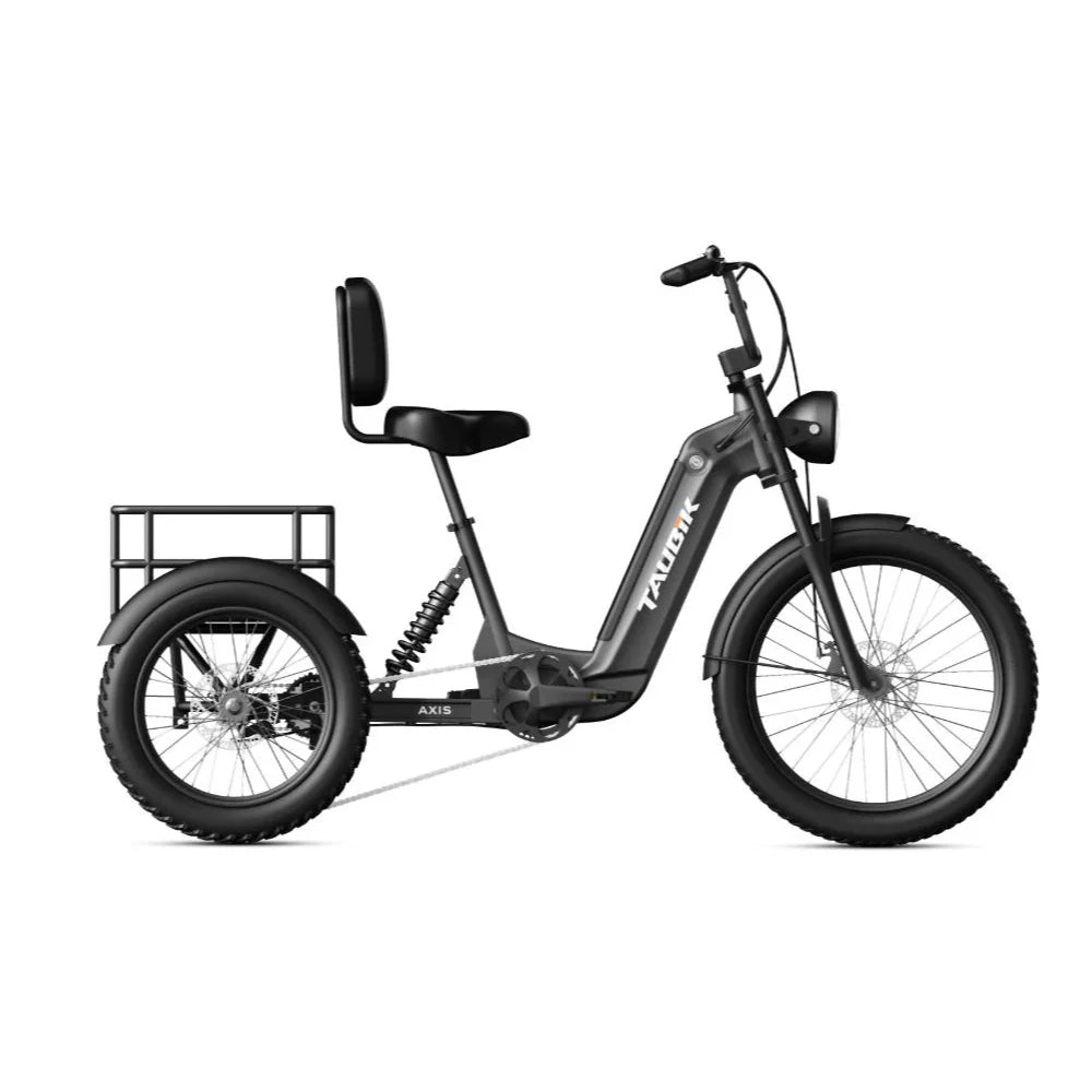 Tricycle Électrique Axis