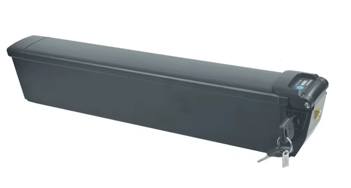 Batterie R48 48V 14 Ah
